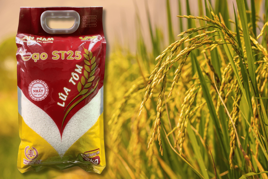 gao-st-25-giao-tan-nha-gia-giam-tha-ga-gao-st25-lua-tom.png