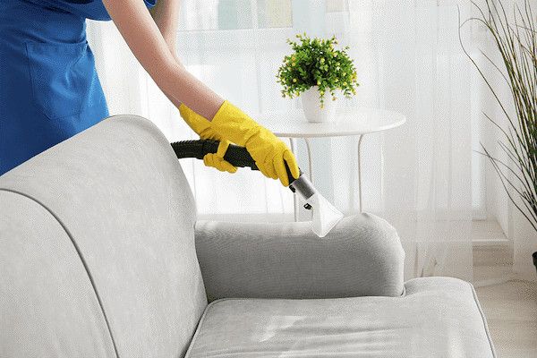sofa vả.jpg